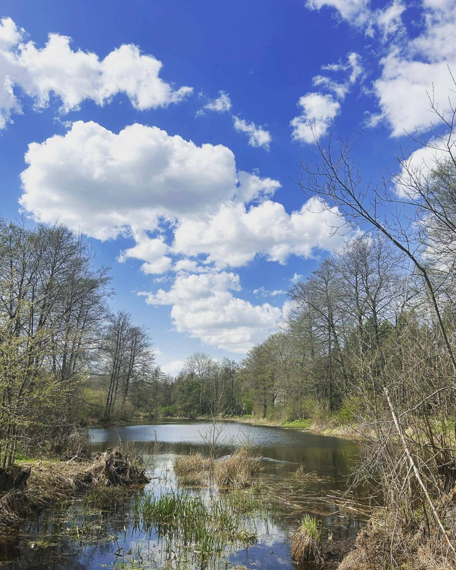 Villa Masuria Warsaw Skrzeszew Esterno foto